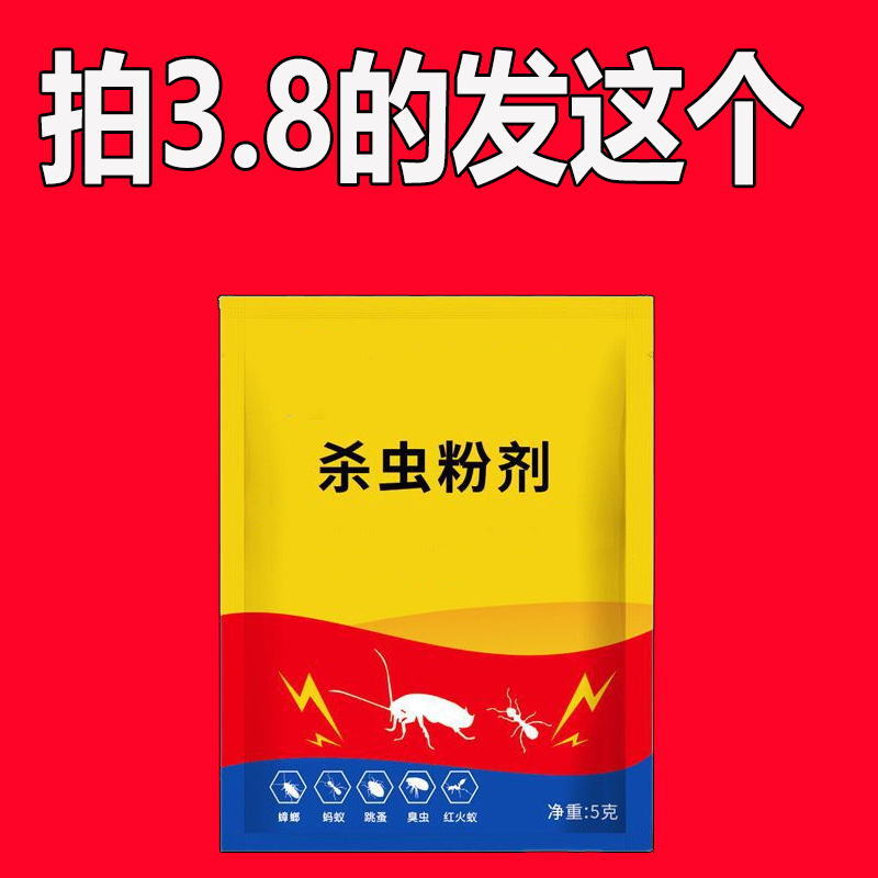 在传奇sf中拉开战斗序幕，体验真实的战场荣耀